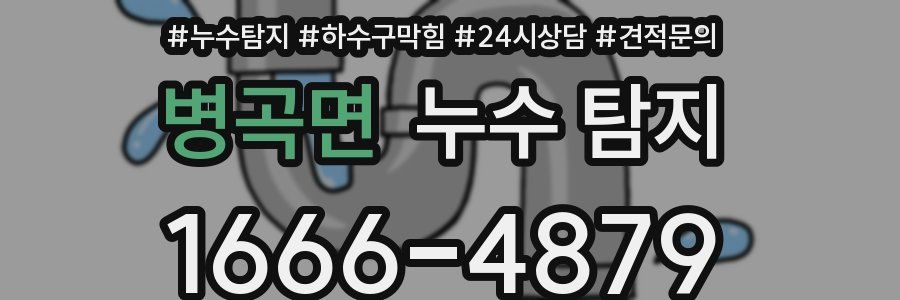 병곡면 누수 탐지