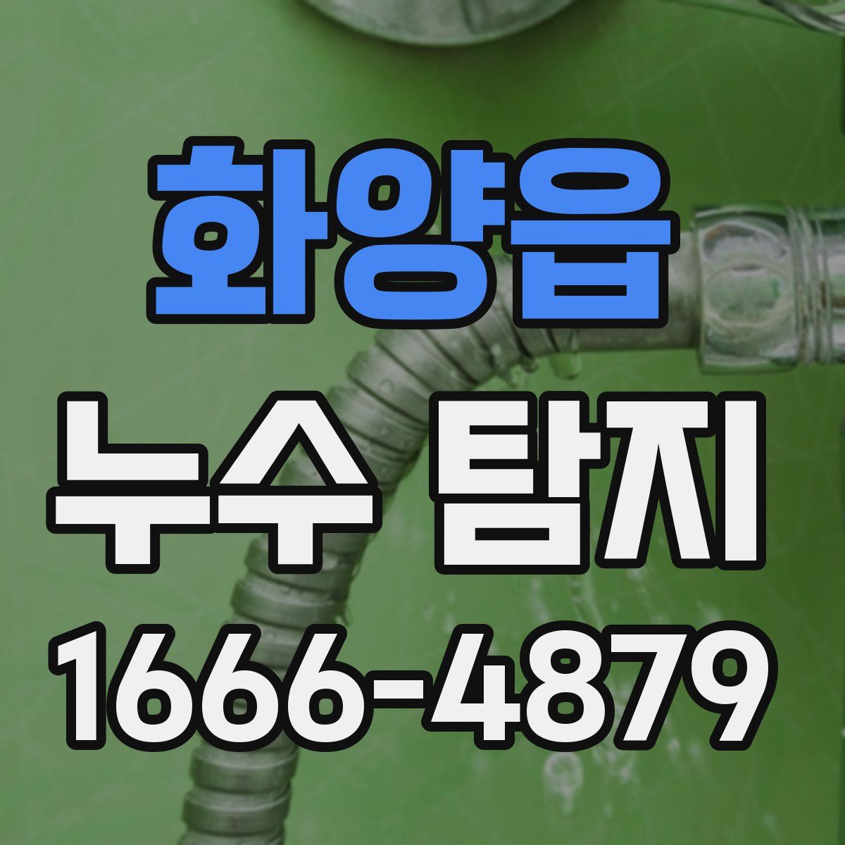 화양읍 누수 탐지