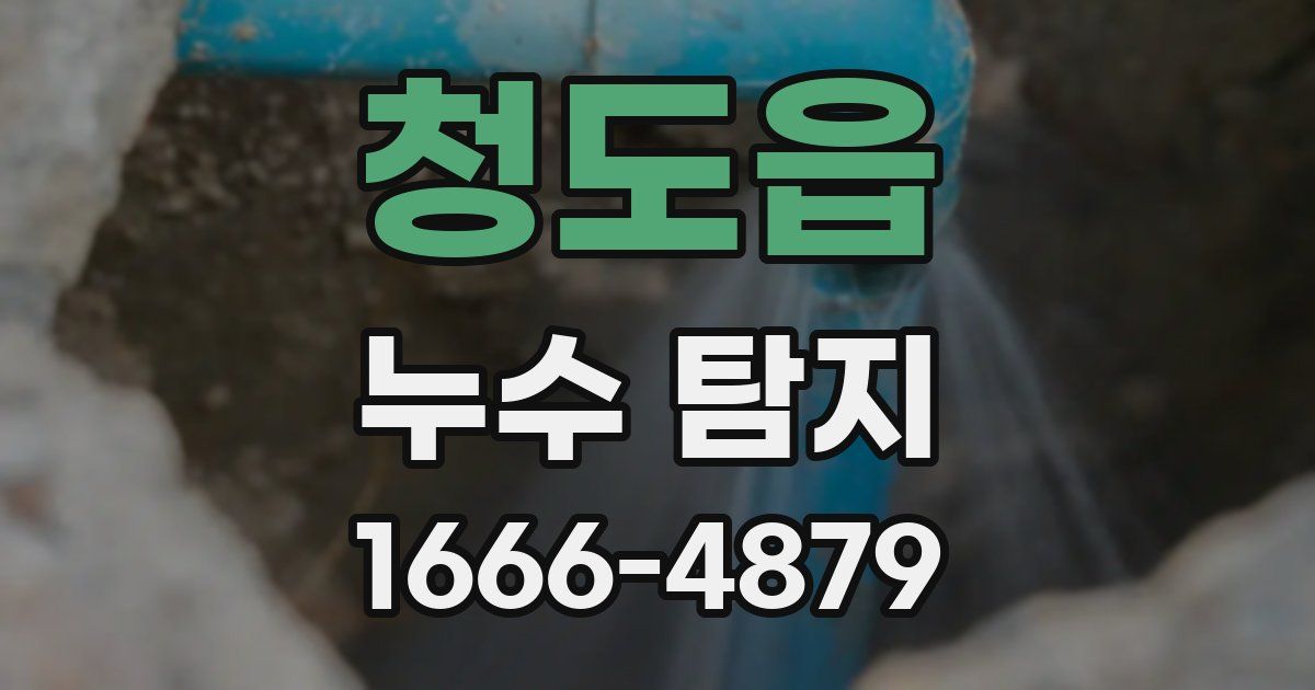 청도읍 누수 탐지
