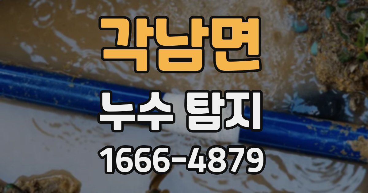 각남면 누수 탐지