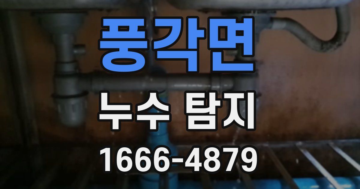풍각면 누수 탐지