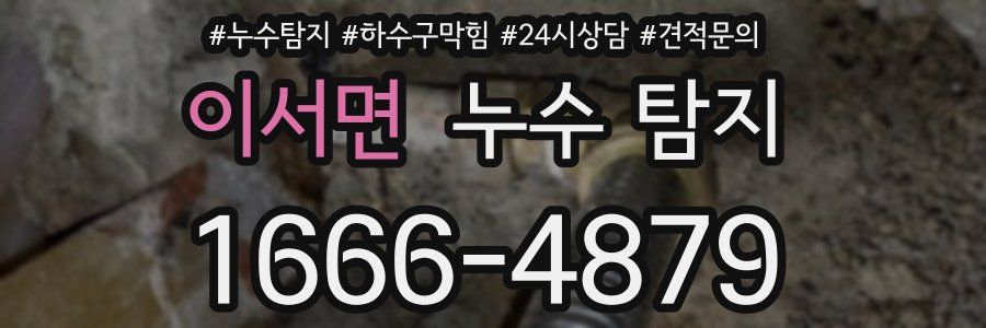 이서면 누수 탐지