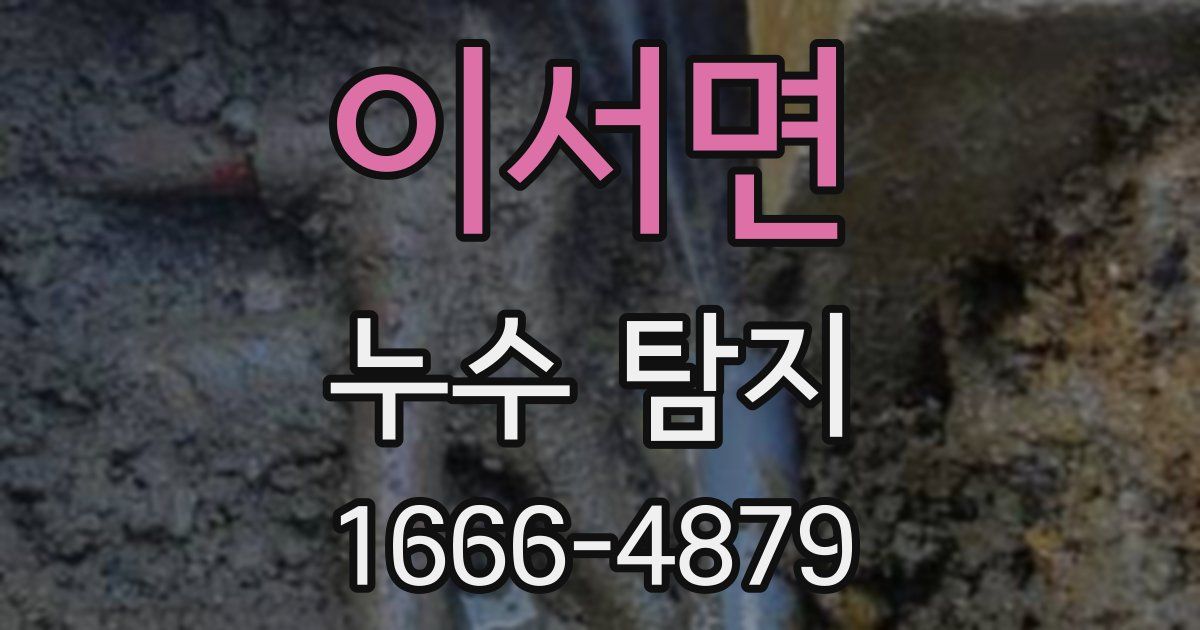 이서면 누수 탐지