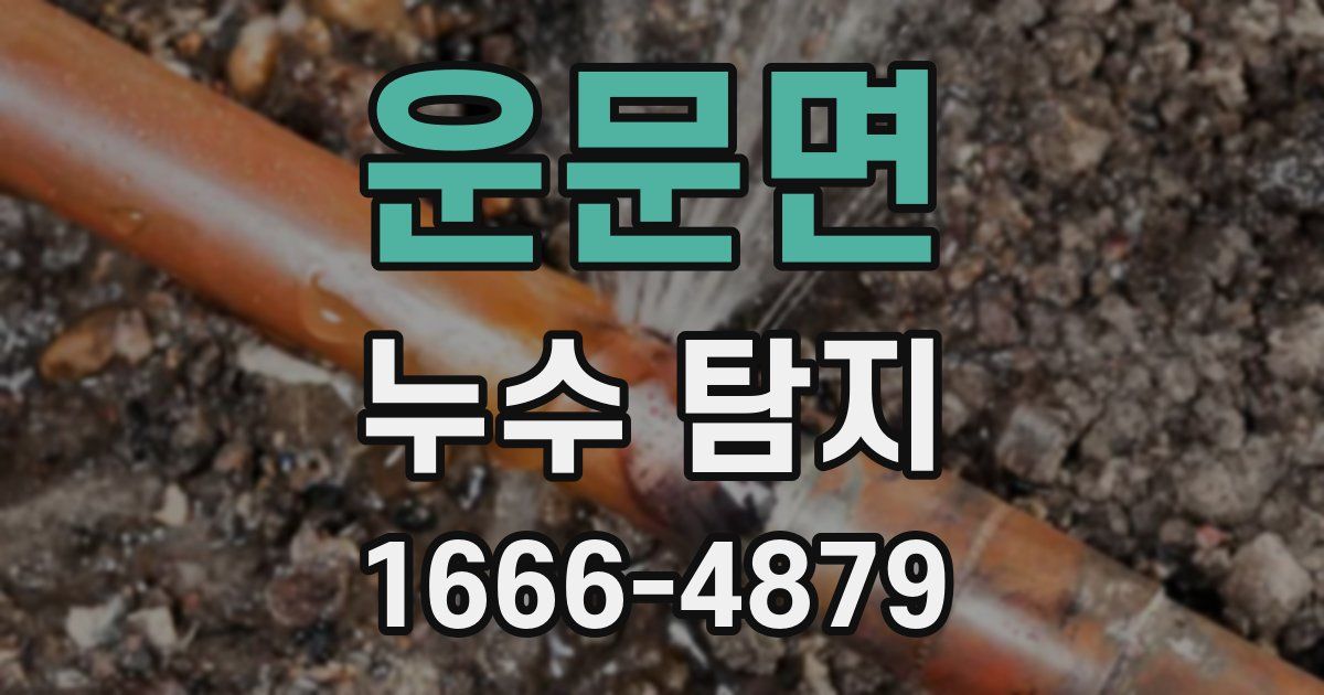 운문면 누수 탐지