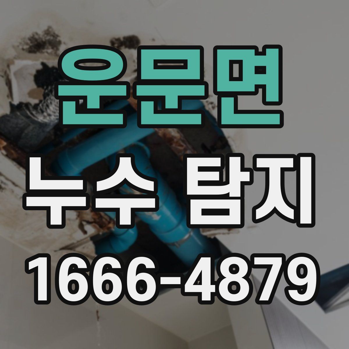 운문면 누수 탐지