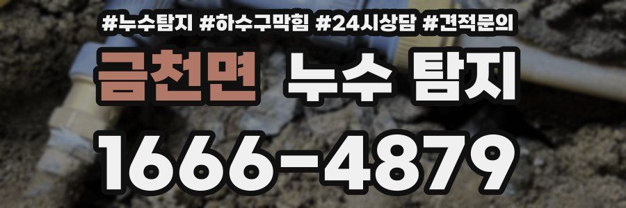 금천면 누수 탐지