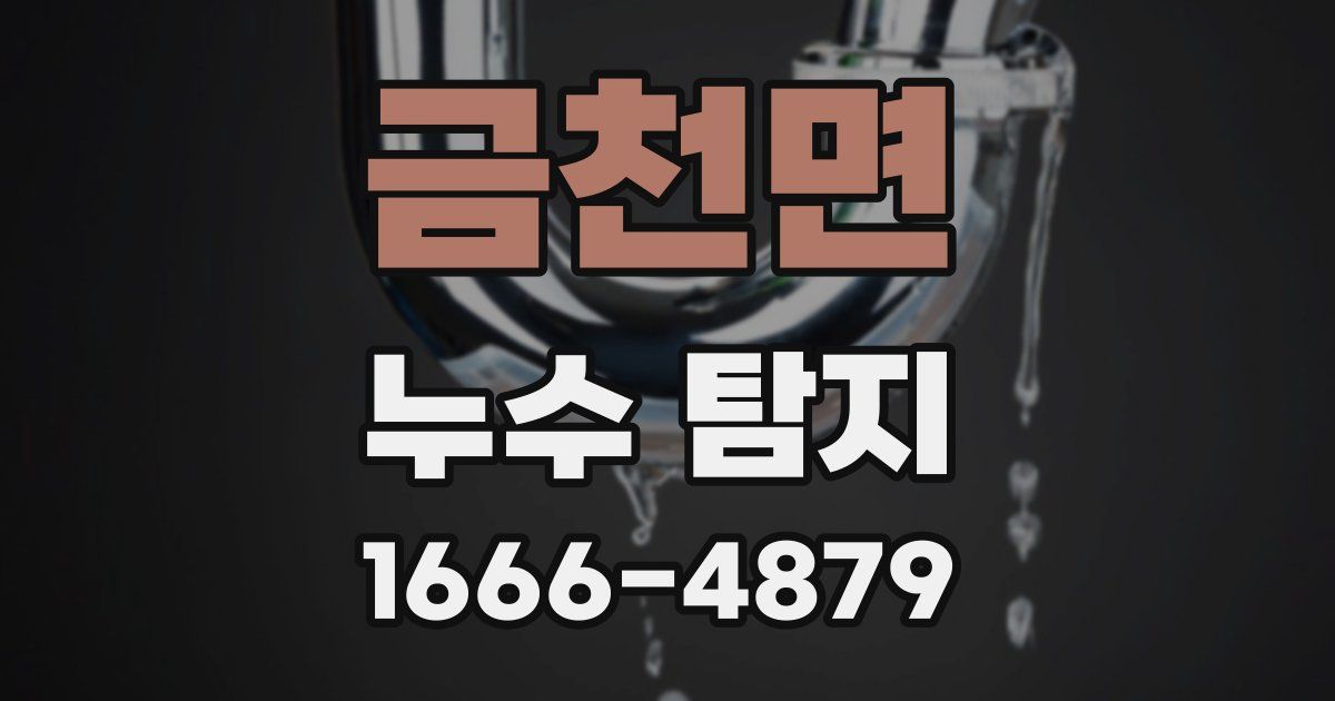 금천면 누수 탐지