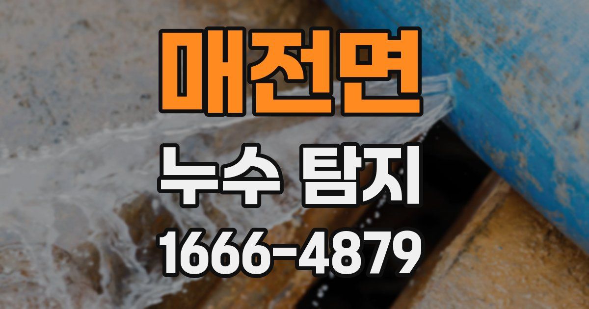 매전면 누수 탐지