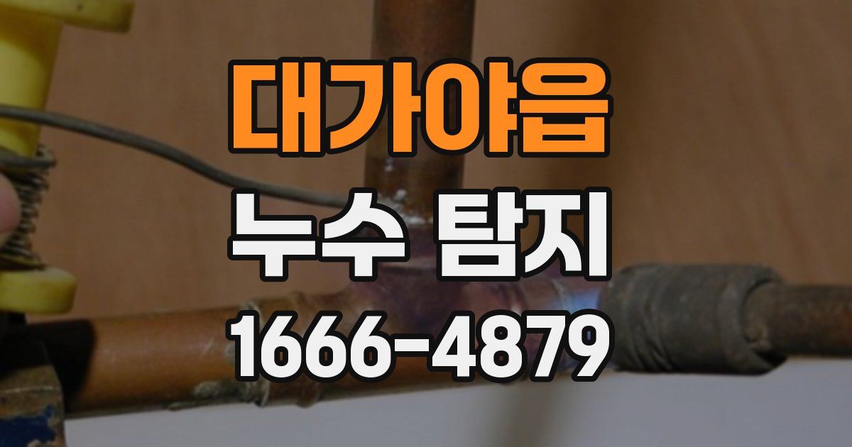 대가야읍 누수 탐지