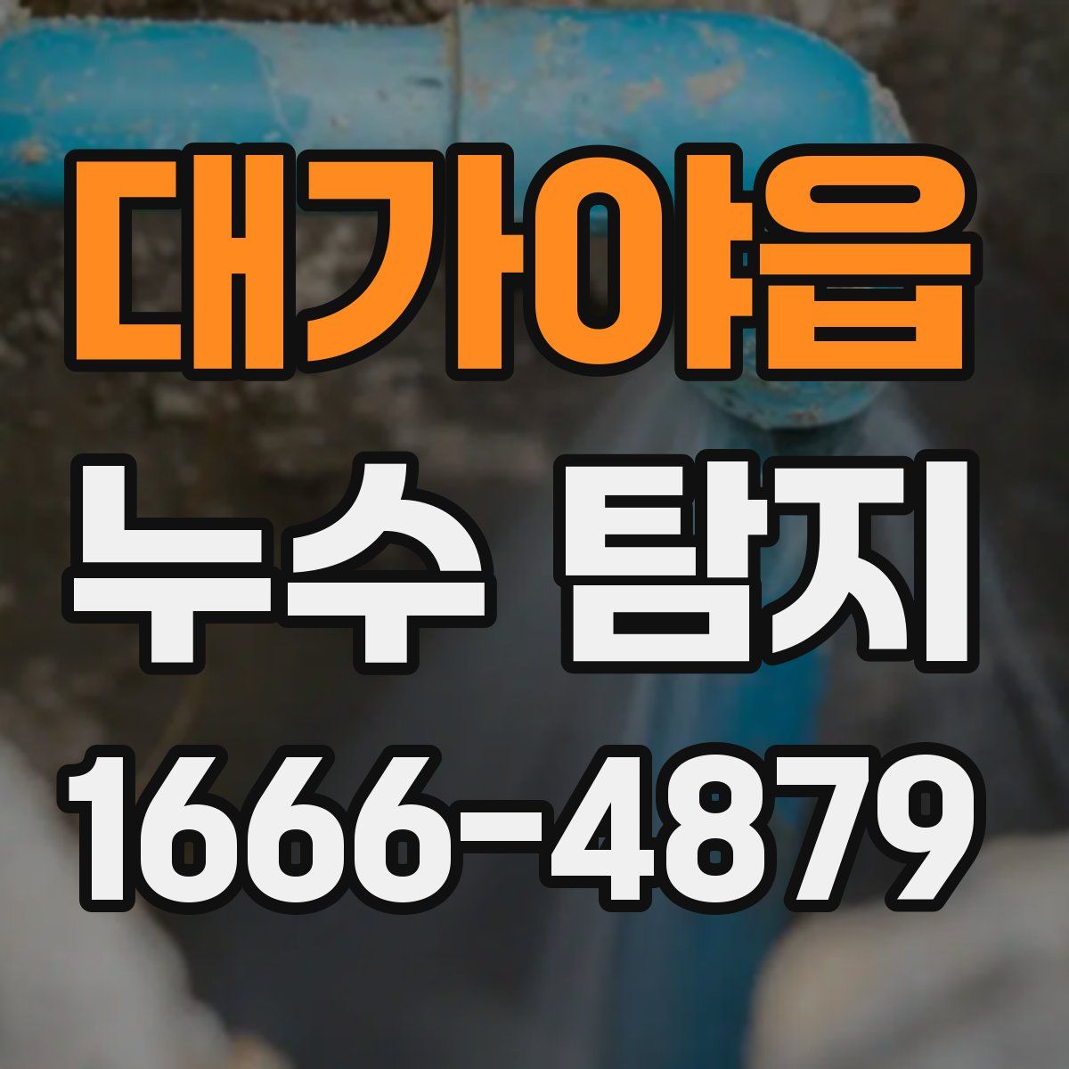 대가야읍 누수 탐지