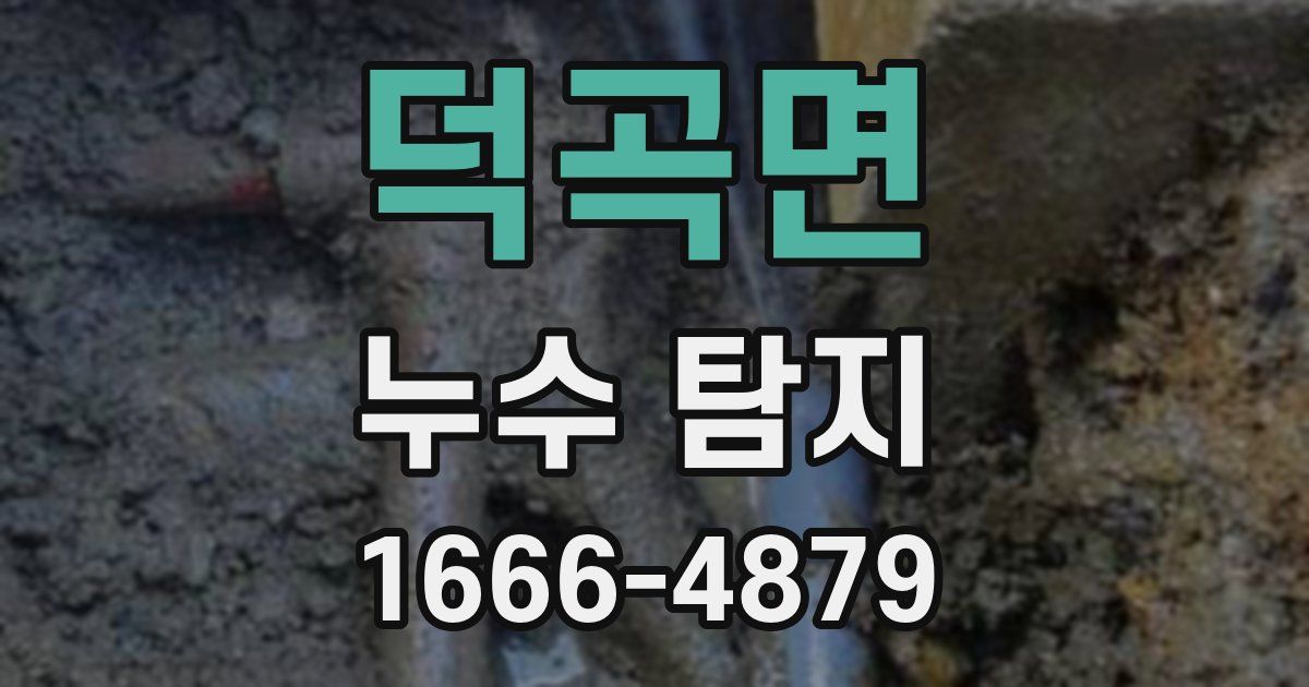덕곡면 누수 탐지