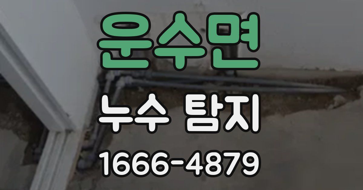 운수면 누수 탐지