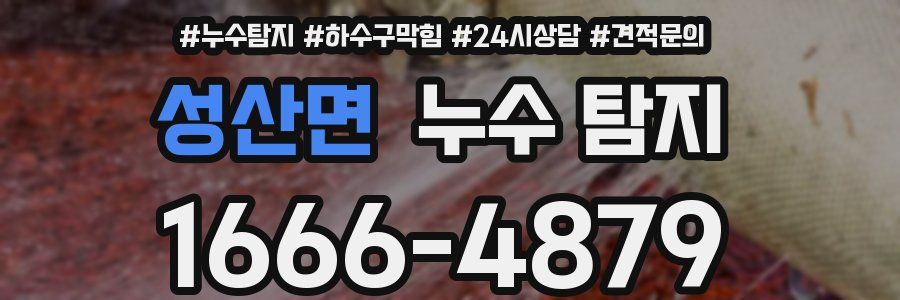 성산면 누수 탐지