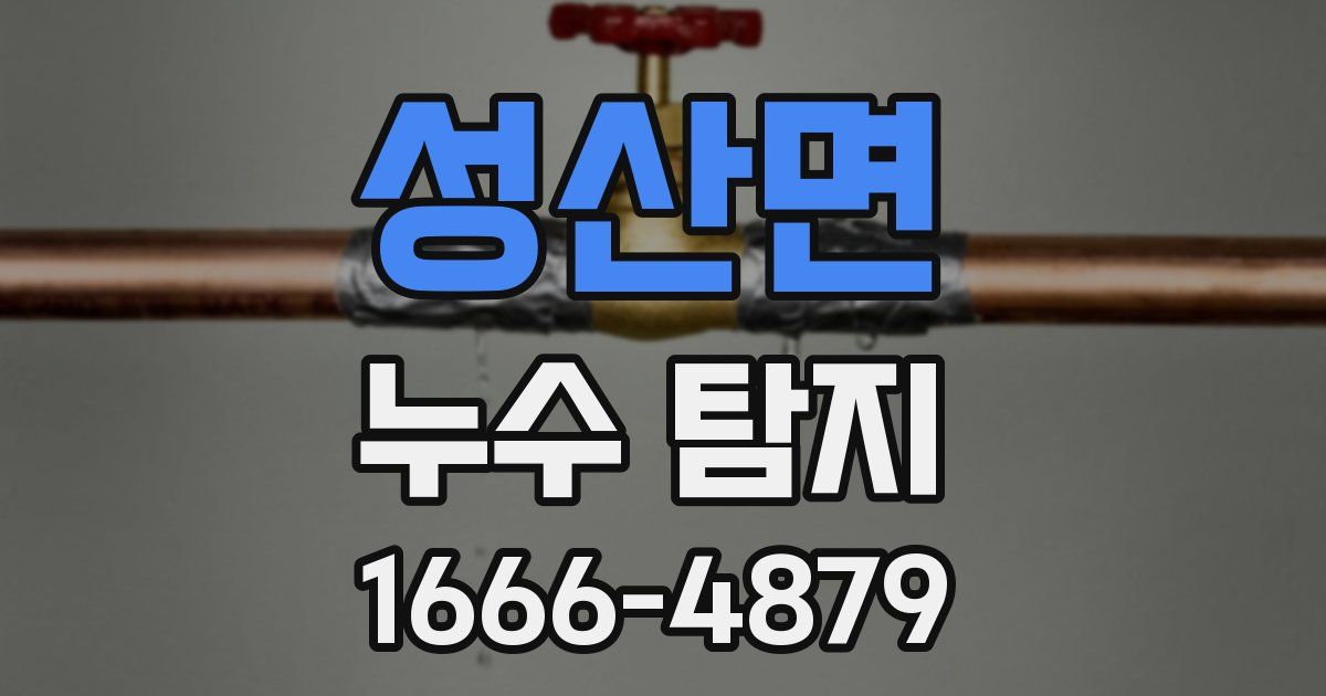 성산면 누수 탐지