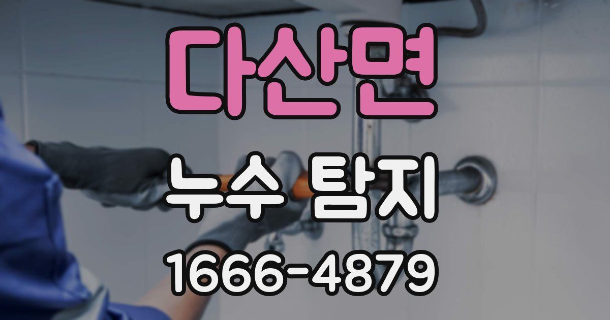 다산면 누수 탐지