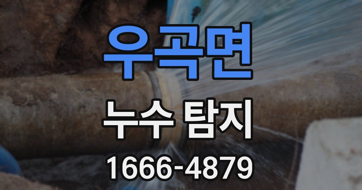 우곡면 누수 탐지