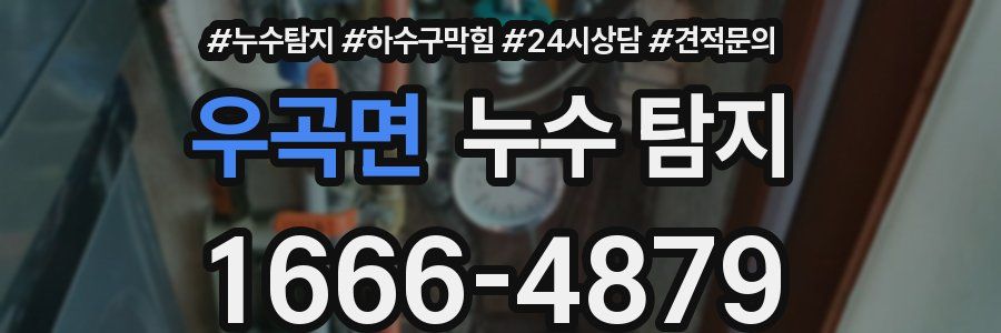 우곡면 누수 탐지
