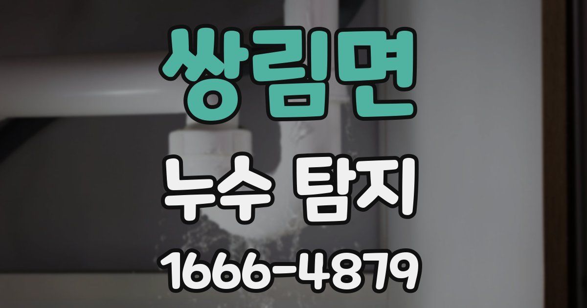쌍림면 누수 탐지