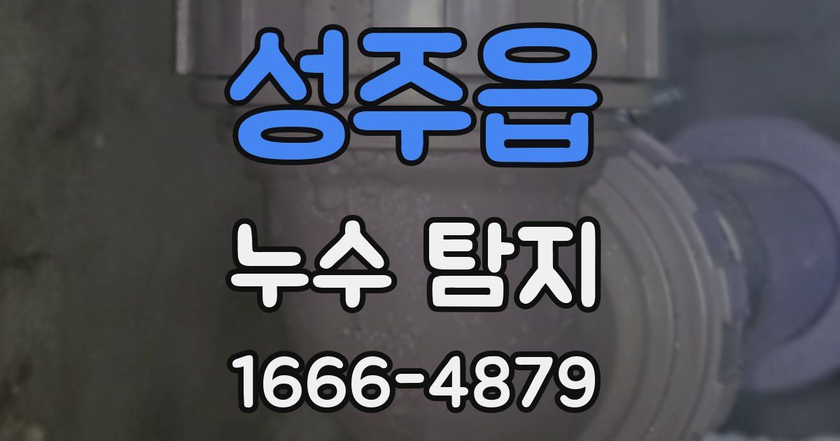 성주읍 누수 탐지