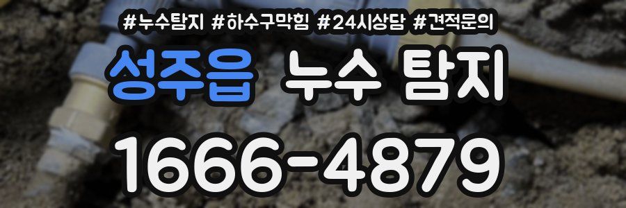 성주읍 누수 탐지