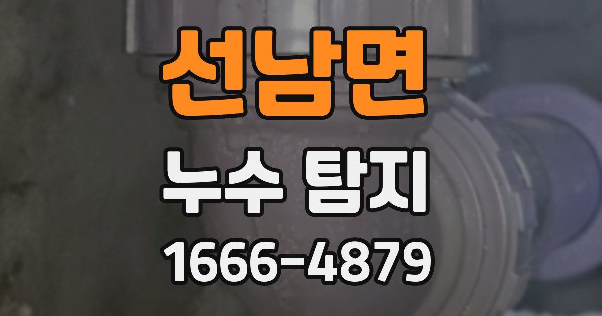 선남면 누수 탐지