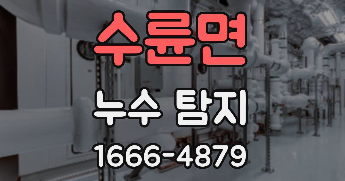 수륜면 누수 탐지