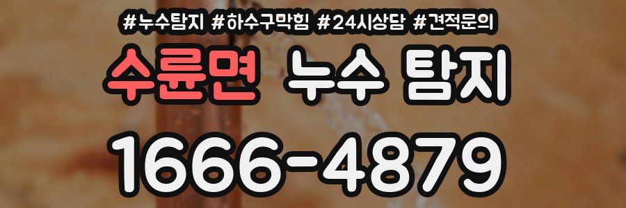 수륜면 누수 탐지