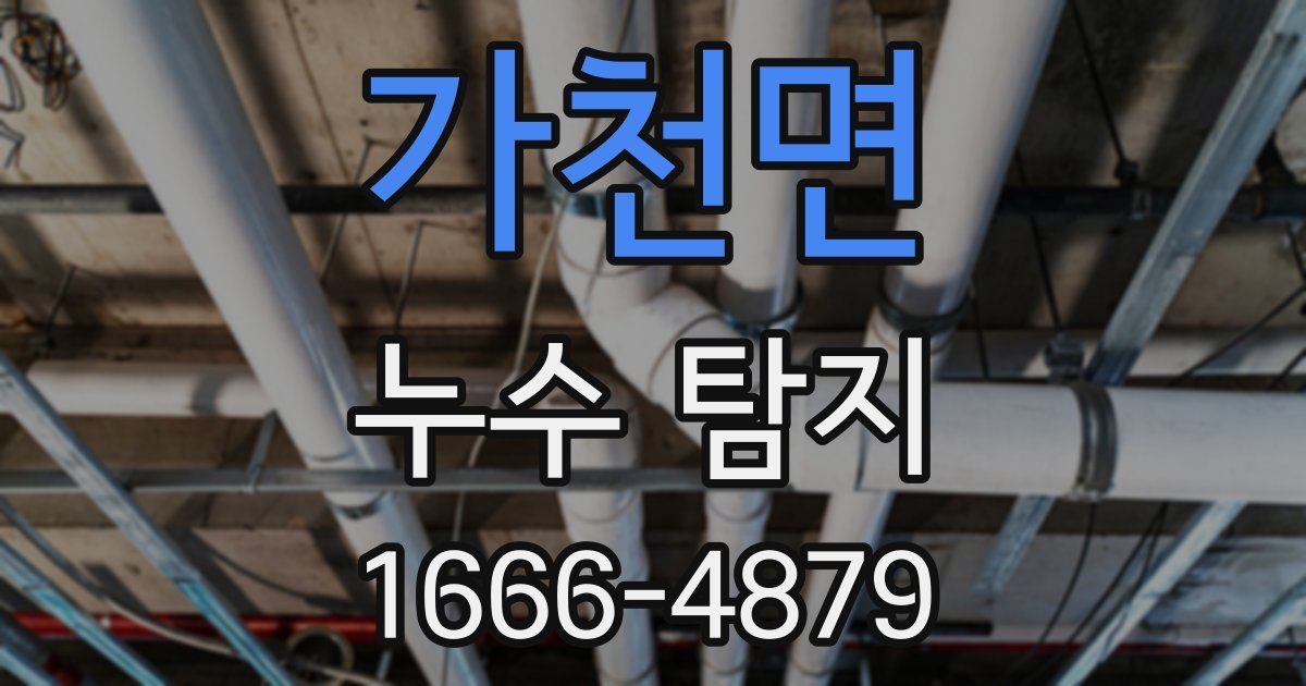 가천면 누수 탐지