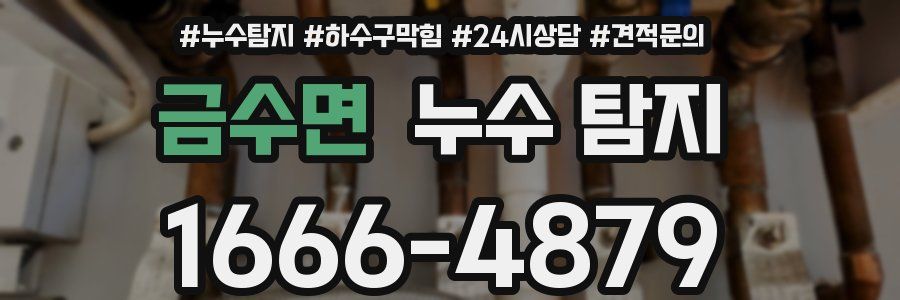 금수면 누수 탐지