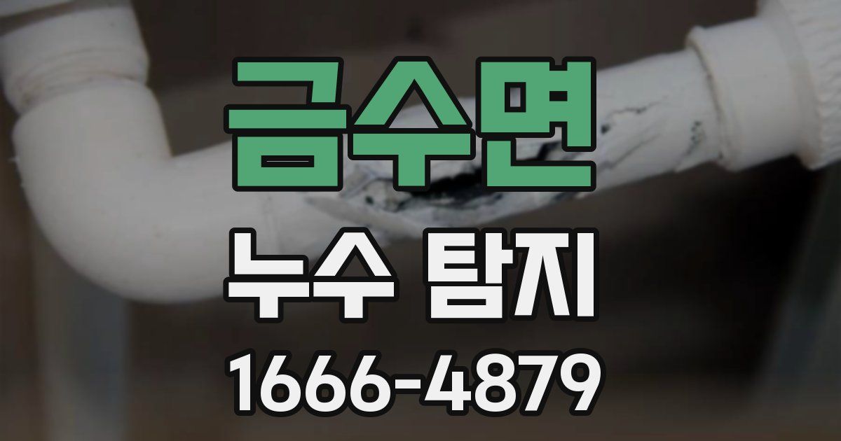 금수면 누수 탐지