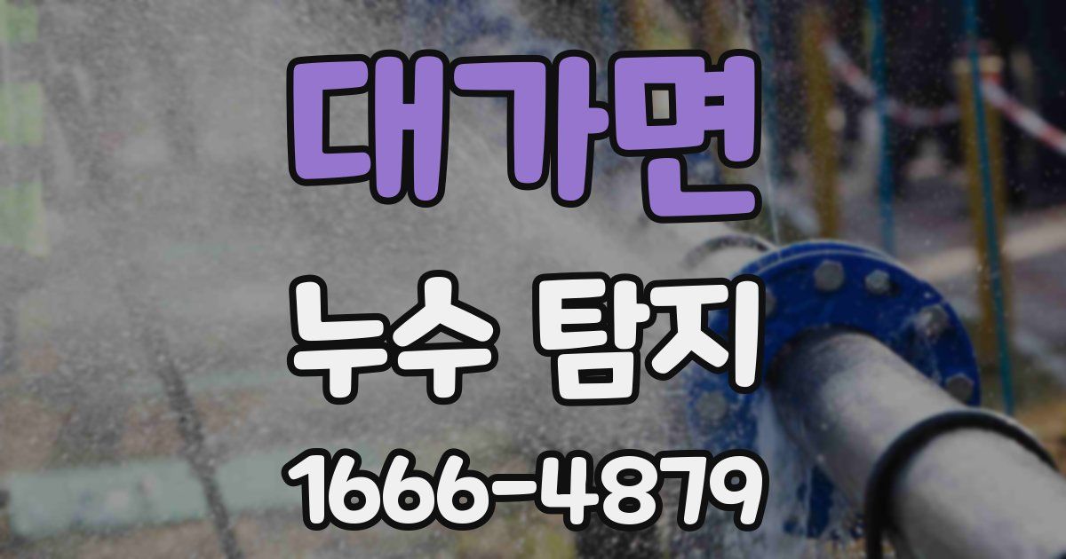 대가면 누수 탐지