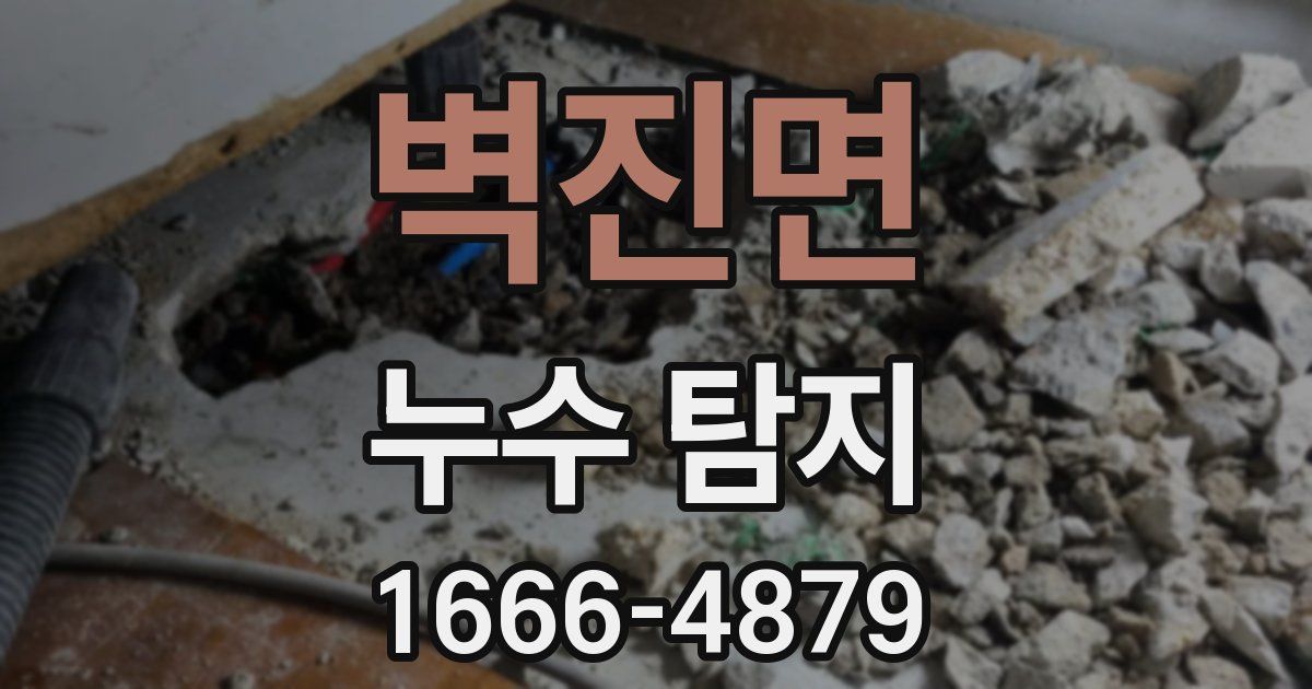 벽진면 누수 탐지