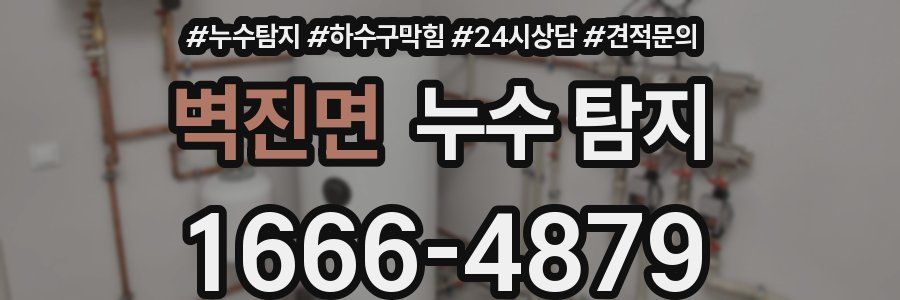 벽진면 누수 탐지