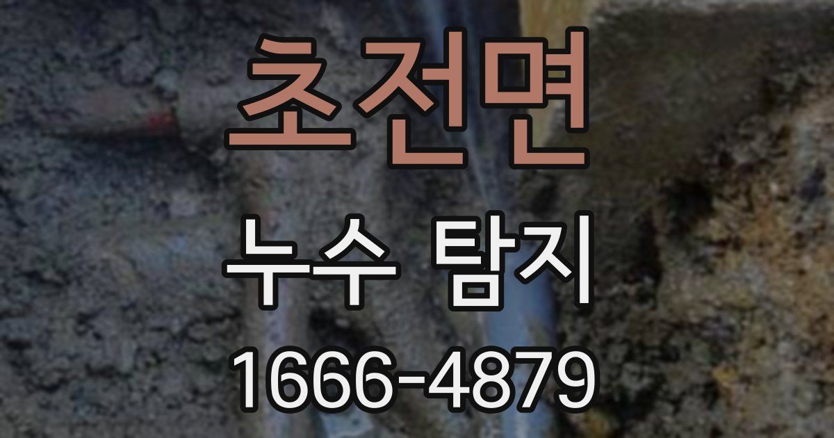 초전면 누수 탐지