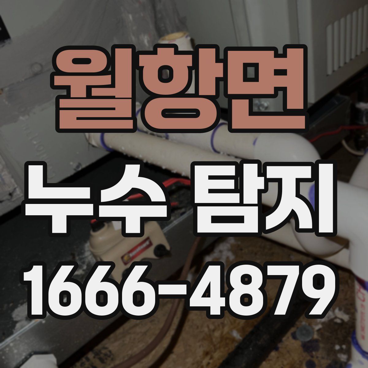 월항면 누수 탐지