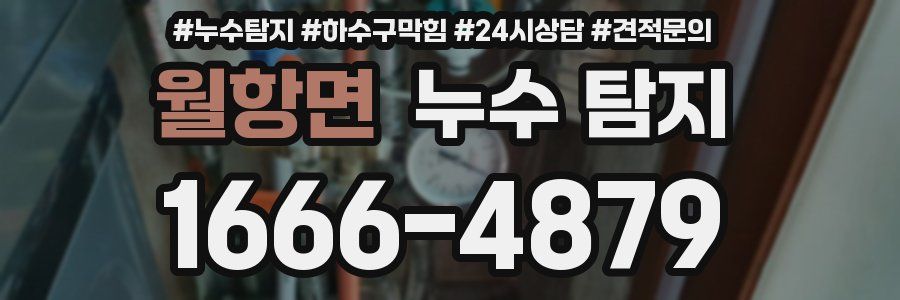 월항면 누수 탐지