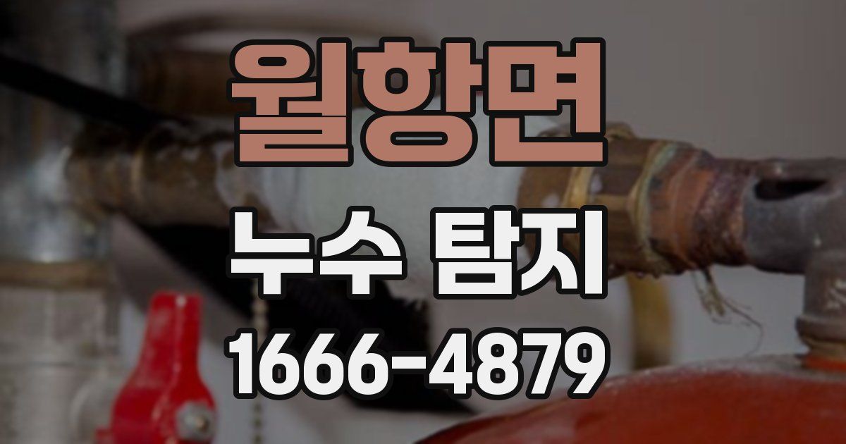 월항면 누수 탐지