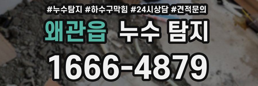 왜관읍 누수 탐지