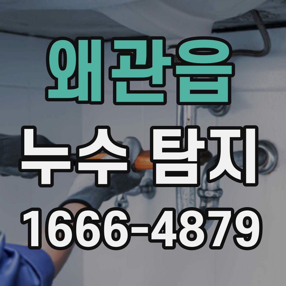 왜관읍 누수 탐지