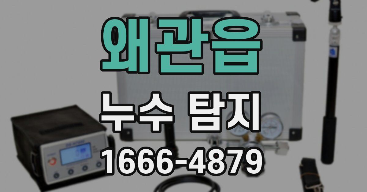 왜관읍 누수 탐지