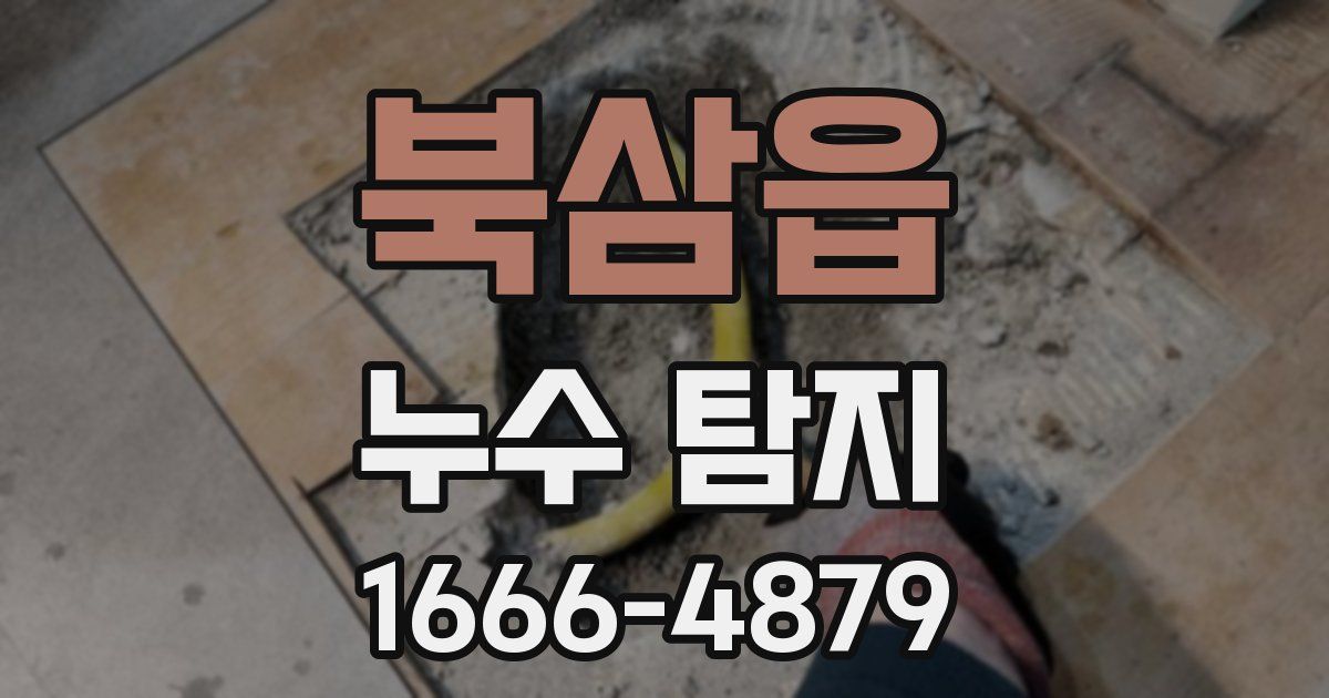 북삼읍 누수 탐지
