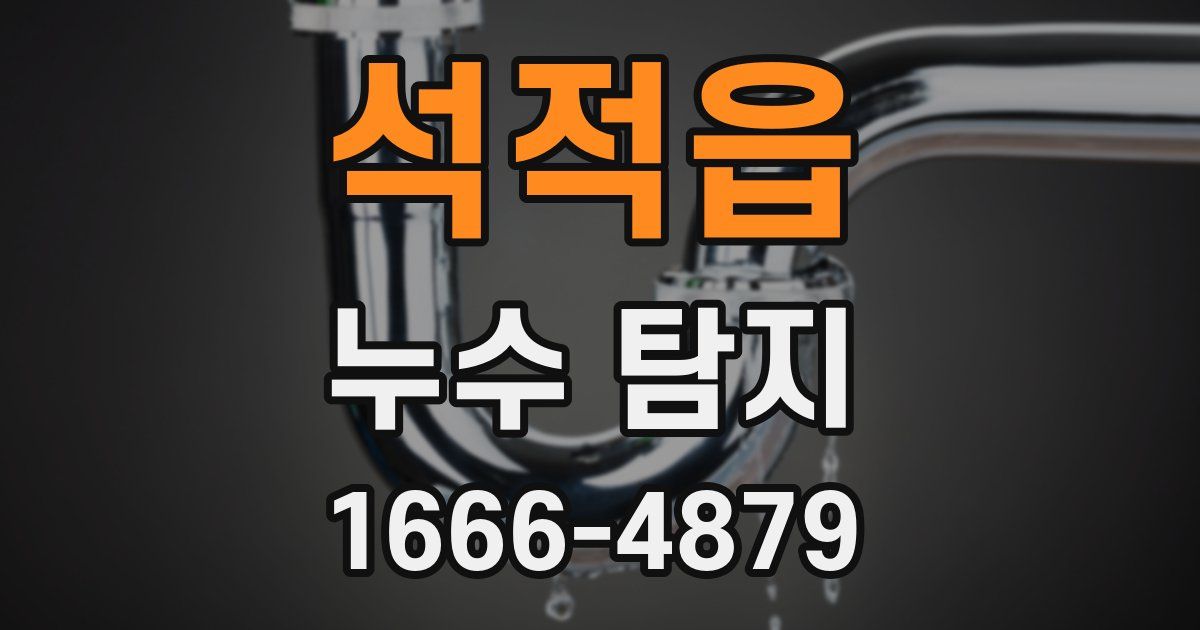 석적읍 누수 탐지
