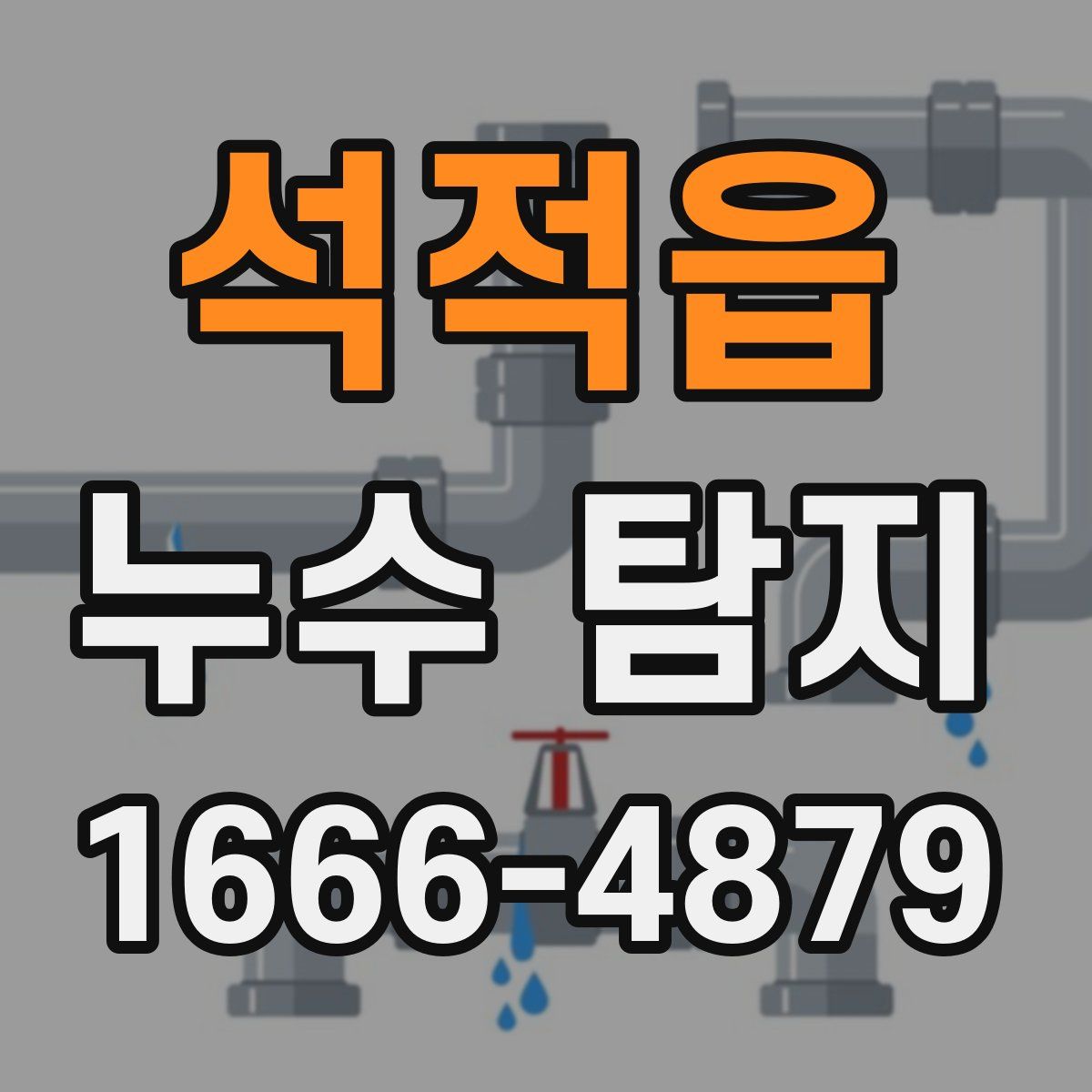 석적읍 누수 탐지