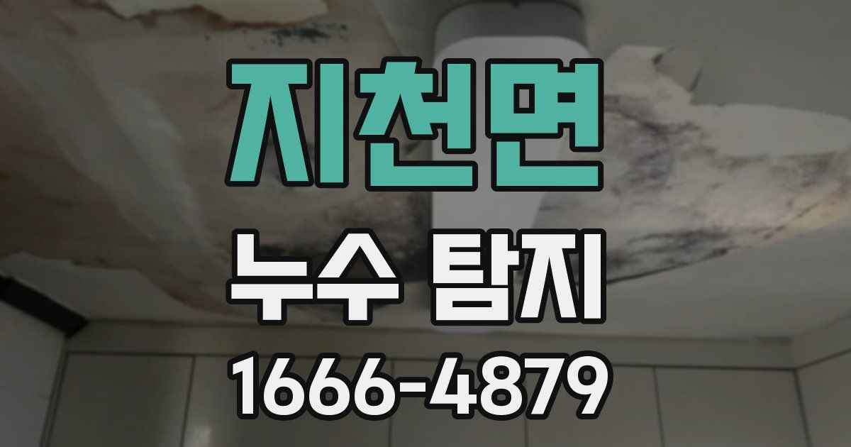 지천면 누수 탐지