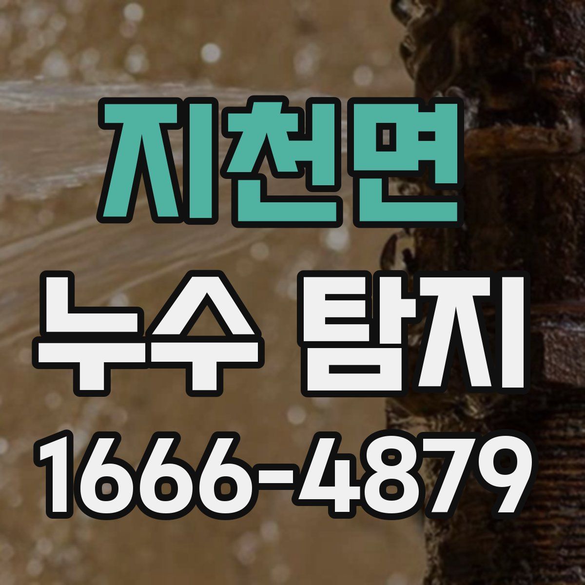 지천면 누수 탐지