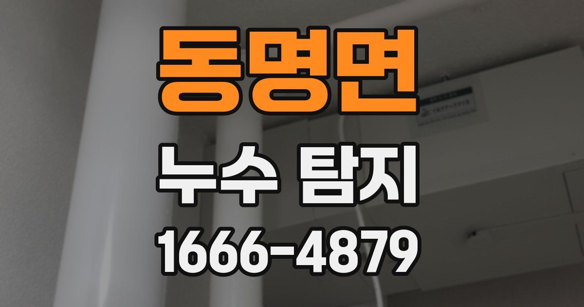 동명면 누수 탐지