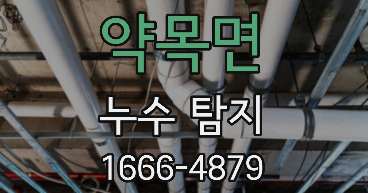 약목면 누수 탐지
