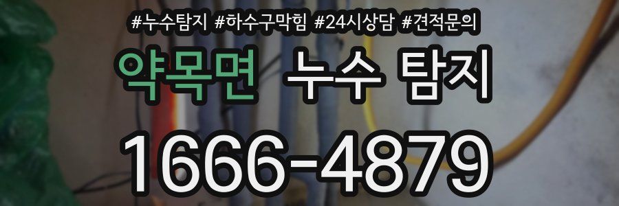 약목면 누수 탐지