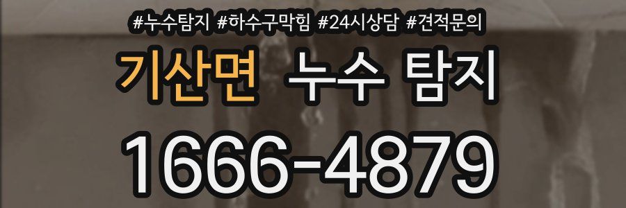 기산면 누수 탐지