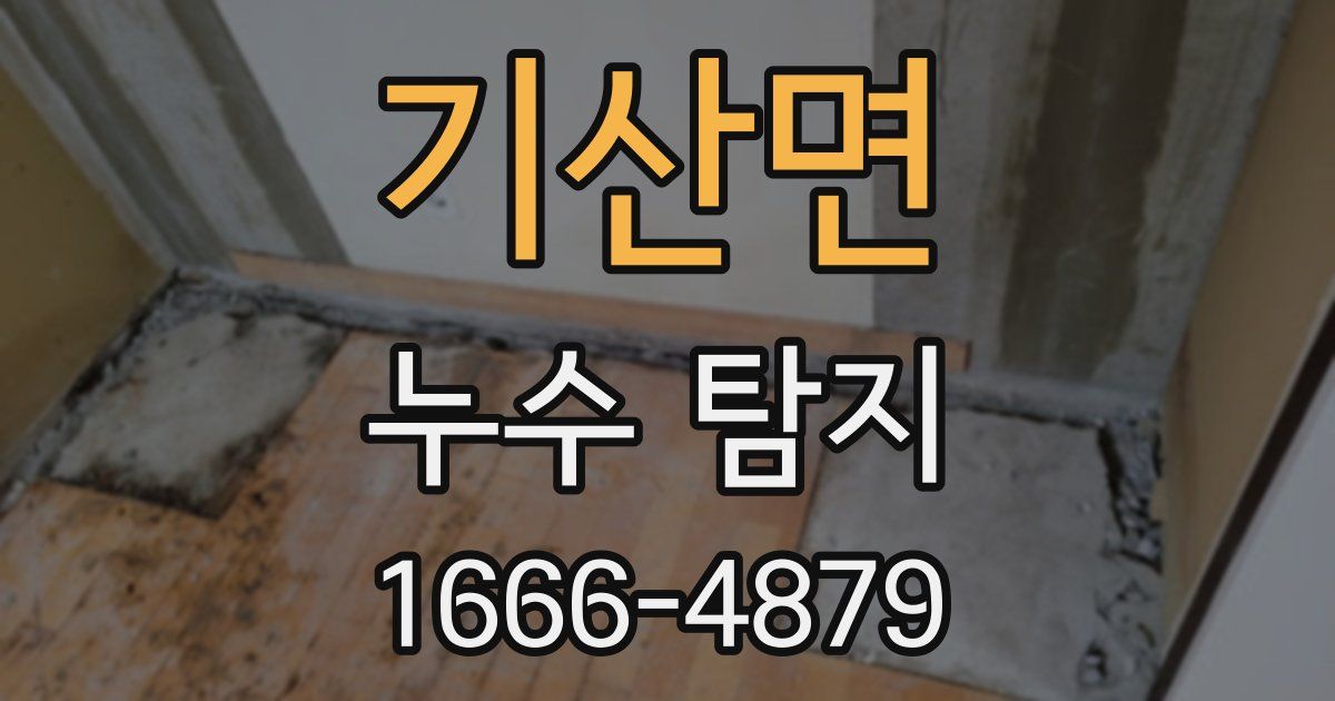 기산면 누수 탐지